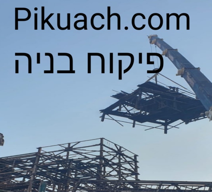 פיקוח בניה, מפקח בניה